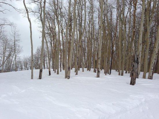 Beaver Creek Nordic Center